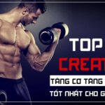 top 10 creatine tang co tang suc manh tot nhat cho gymer 2022 6