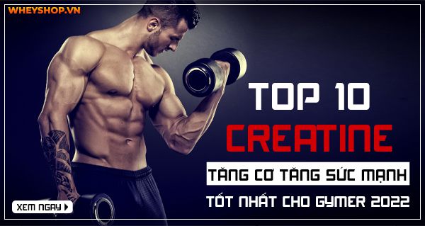top 10 creatine tang co tang suc manh tot nhat cho gymer 2022 6