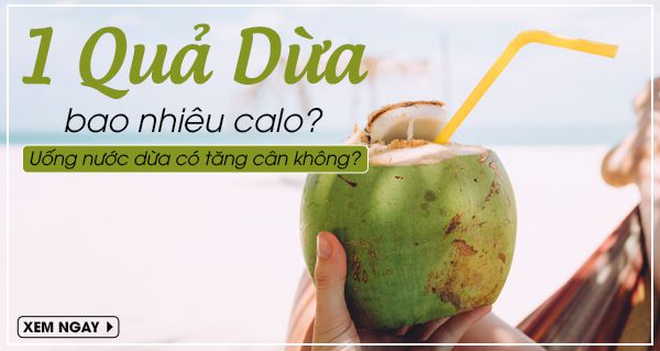 1 quả dừa bao nhiêu calo? Uống nước dừa có tăng cân không?