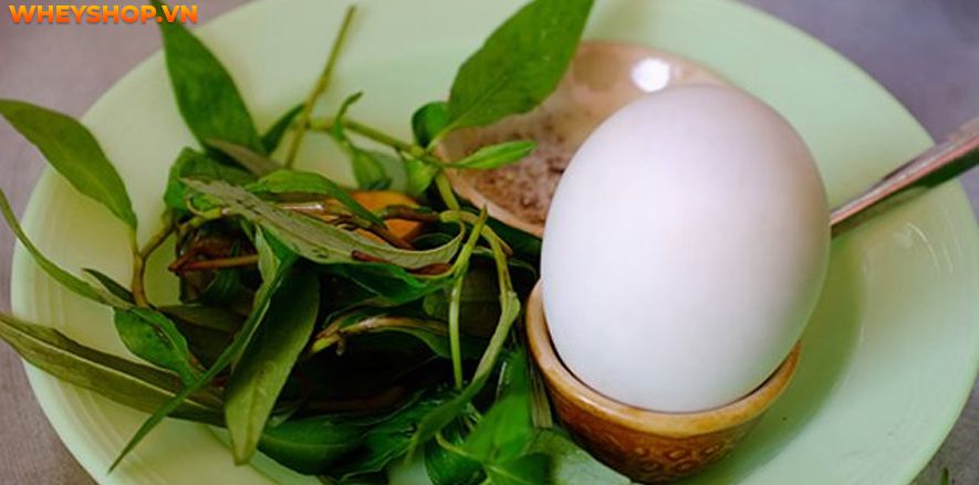 Nếu bạn đang băn khoăn 1 quả trứng vịt lộn bao nhiêu calo, có tăng cân không thì hãy cùng WheyShop tham khảo chi tiết bài viết...