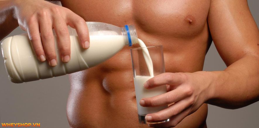 Con trai có nên uống sữa fami không? Uống sữa fami có bị vô sinh không? Hãy cùng WheyShop tìm hiểu thông tin qua bài viết dưới đây nhé!