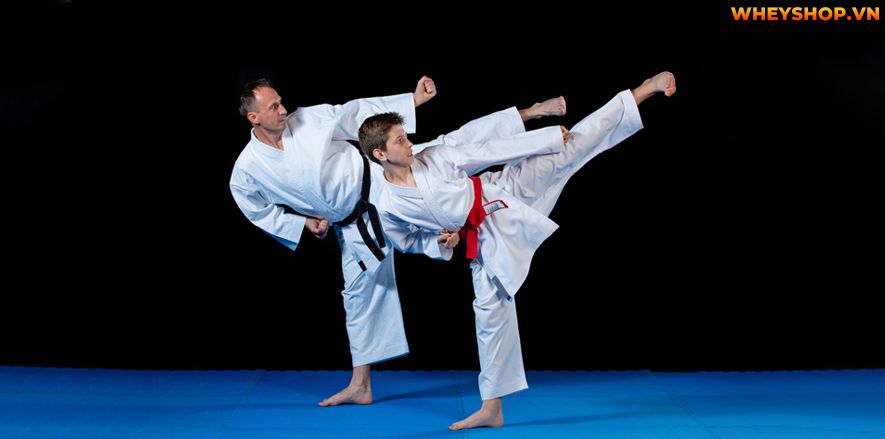 Nên học võ karate hay taekwondo? Học môn võ nào sẽ tốt nhất? Hãy cùng WheyShop tìm hiểu câu trả lời thông qua bài viết dưới đây nhé