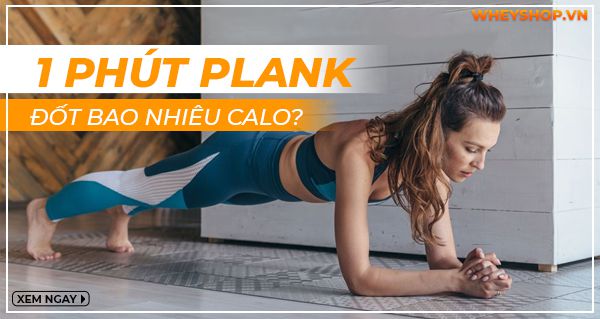 1 phút plank đốt bao nhiêu calo? Cách tập plank để giảm cân là như thế nào? Hãy cùng Wheyshop tìm hiểu ngay thông qua bài viết này nhé!