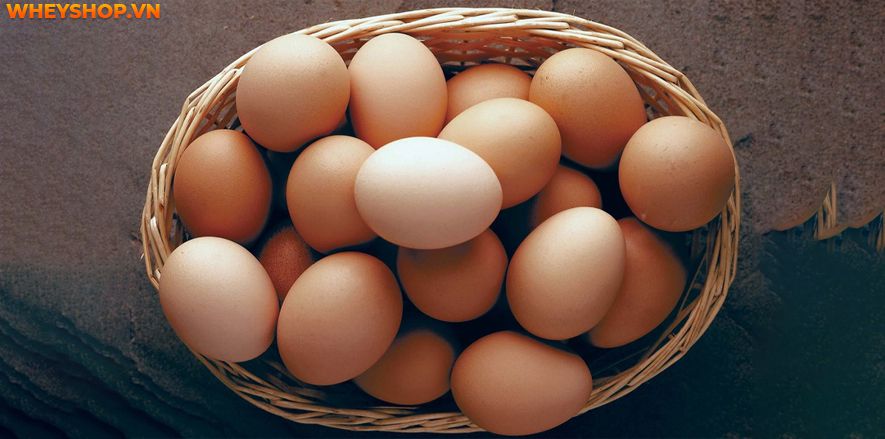 Trứng là thực phẩm hằng ngày mà chúng ta sử dụng nhưng 1 quả trứng gà bao nhiêu calo? bạn có biết không? Để tìm ra câu trả lời  hãy cùng WheyShop phân tích nhé!