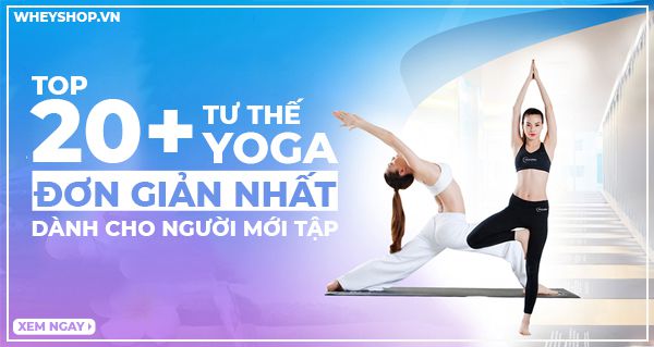 20+ tư thế yoga đơn giản nhất dành cho người mới tập sau đây chắc chắn sẽ giúp sức khoẻ của bạn thay đổi đáng kể. Cùng WheyShop tìm hiểu