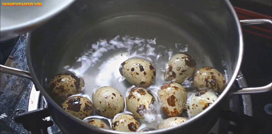 Trứng cút được sử dụng phổ biến và nó có đầy đủ các chất dinh dưỡng như trứng gà. Cùng WheyShop tìm hiểu hàm lượng dinh dưỡng và trứng cút bao nhiêu calo...